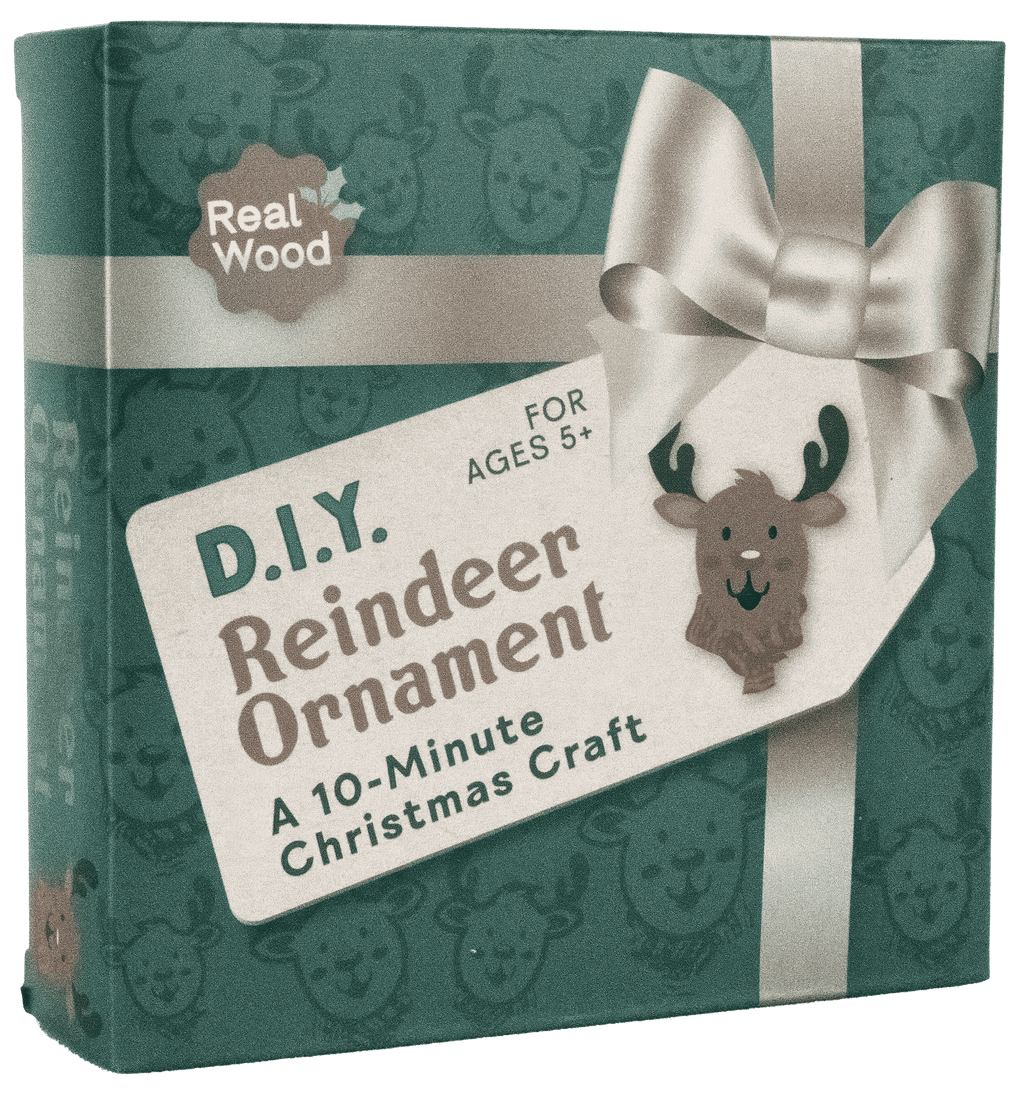 DIY Christmas Ornament Kit