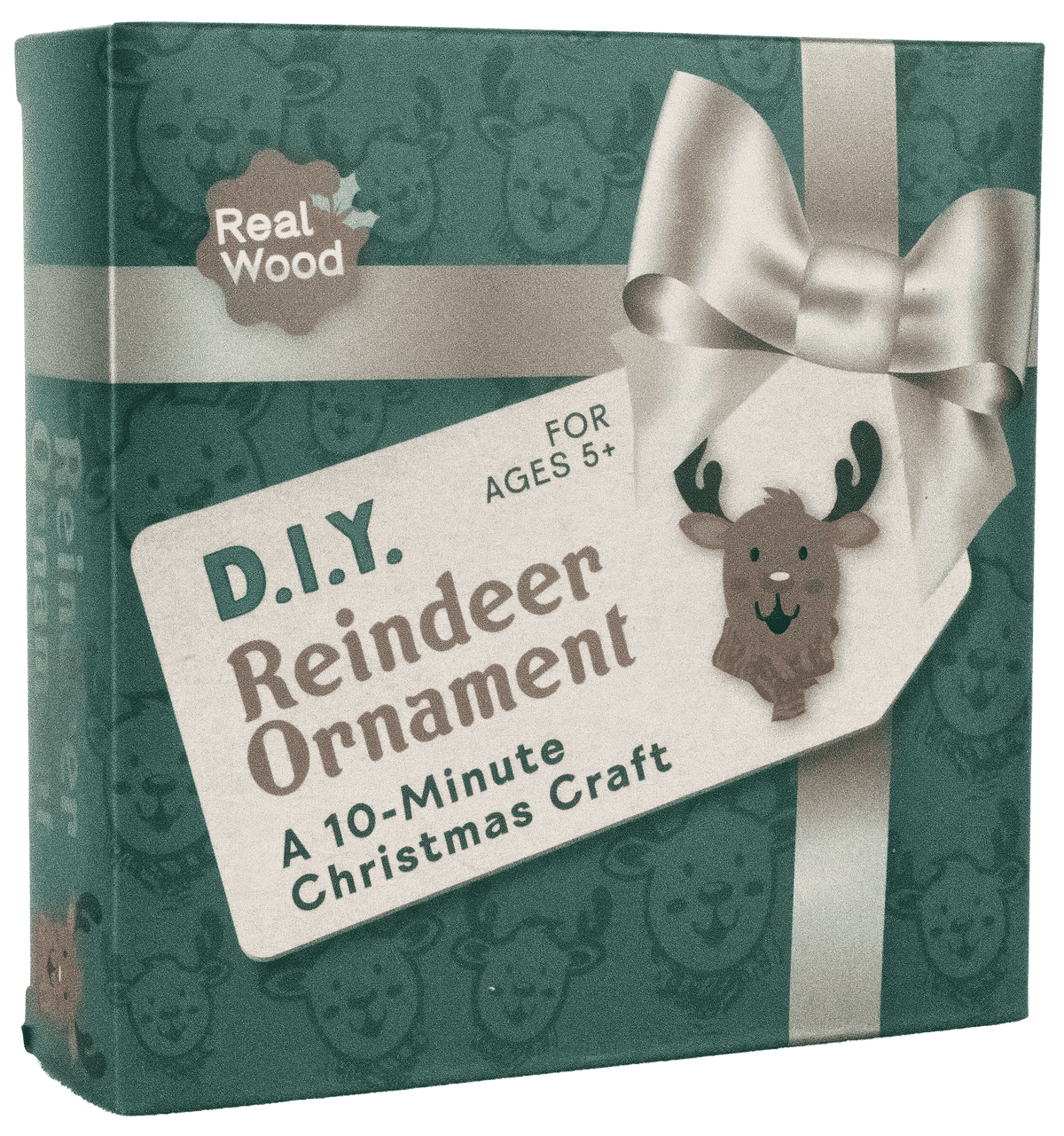 DIY Christmas Ornament Kit